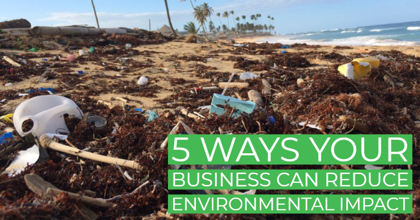 5 Ways Your Business Can Reduce Environmental Impact